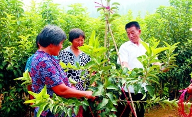 人民日报：寻找“绿色财富”的“务林人”